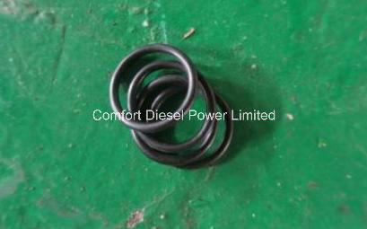 Cummins Nta855 O Ring 212161
