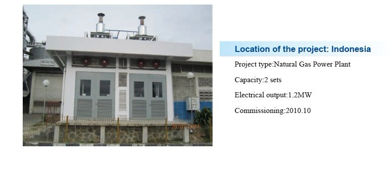 625kVA Natural Gas Generator Sets Powered by Cummins
