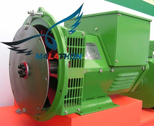 Brushless Generator(TFS)