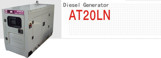 Diesel Generator Set