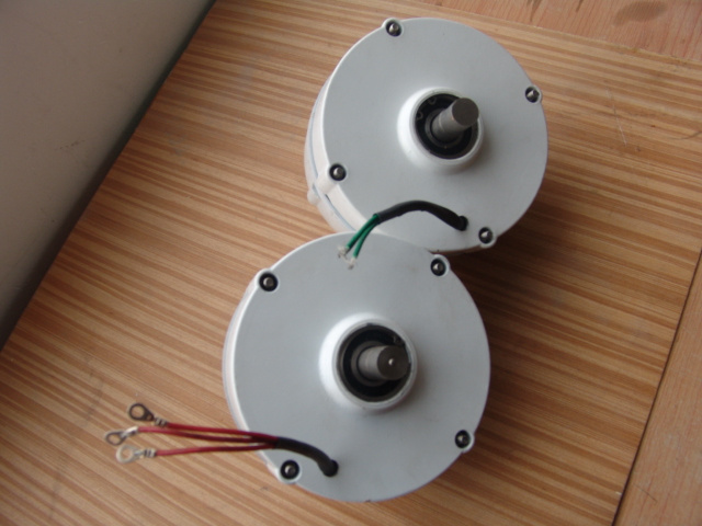 100W 12V AC Low Rpm Permanent Magnet Generator (YC-NEG100)