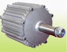 300W Vertical Permanent Magnet Generator