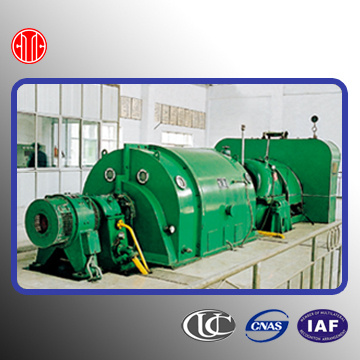 Citic 1MW Back Pressure Steam Turbine with Biomass Boiler (B1)