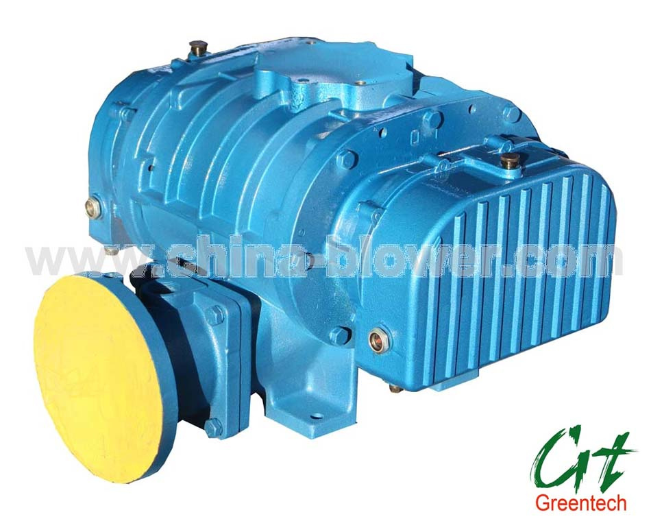 Roots Pump (NSRH)