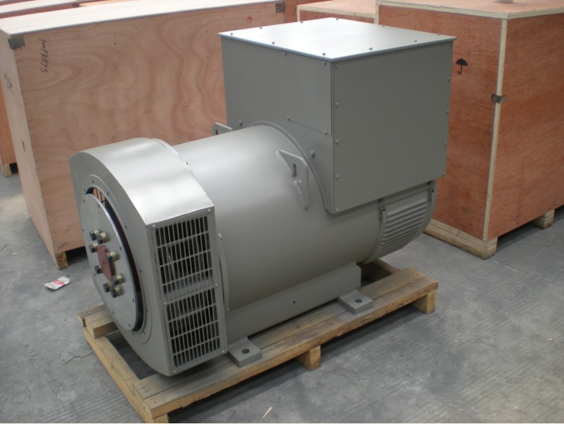 100% Copper Wires Promotion Alternator CE Approved (FLD544D)