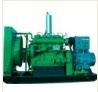 Shengdong Gas Generator