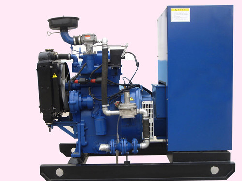 Shenghan Gas Series Genset