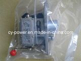 Shanghai Fortrust Engine Electrical Governor for Generator Purpose
