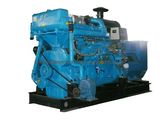 Dongfeng 135 Marine Generator Sets-250kw