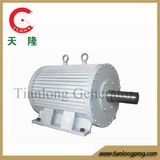 Ff-20kw/200rpm/AC400V Permanent Magnet Generator (PMG/PMA/Hydro)