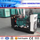 Factory Directly Sale 40kVA/30kw Open Type Gas Generator