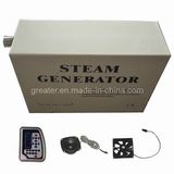 3kw Steam Engine for Sauna Room (TR012N-H)