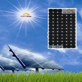 Solar Module (GP/M/72/185W Module Series)