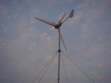 Wind Turbine (300W)