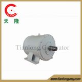 Ff-8kw/375rpm/AC380V Permanent Magnet Alternator (PMG/PMA/Hydro)