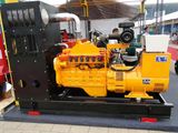 Natural Gas, Biogas Generator Set From 20kw to 700kw