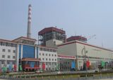 Biomass Power Plant 10MW50MW100MW200MW300MW  (XTGG)