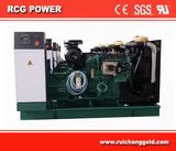 Open Style Diesel Generator Powered by Volvo 250kVA/200kw