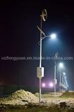 Wind Solar 80W LED Street Lamp