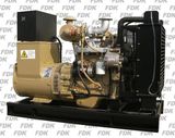 Generator Powered by Cummins Engine (FCG33)