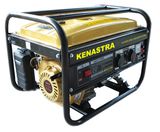 Gasoline Generator (AST17500)