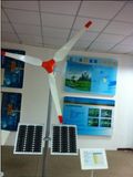 300W High Speed Wind -Driven Generator