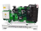 LOVOL Gas Generator Set