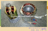 6.5kw Wave Stator and Rotor for Gasoline Generator