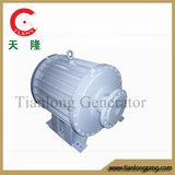 Ff-20kw/100rpm/AC400V Permanent Magnet Alternator (PMG/PMA/Hydro)