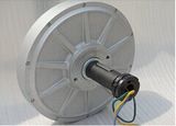 0.3kw-200rpm Coreless Hydro Turbine/Axial Flux Permanent Magnet Generator