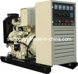 24kw Ricardo Diesel Generator Set