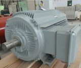 100kw 30rpm Permanent Magnet Generator