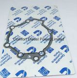 3899746 Gasket for Cummins M11 Engine