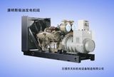 900KW, 1125KVA Cummins Diesel Generators (TK-C900GF)