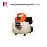 0.8kw Digital Inverter Small Hand Generator