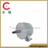 Ff-2kw/150rpm/DC115V Permanent Magnet Alternator (PMG/PMA/Hydro)