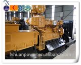 China Hot Sale 300kw Special Biogas Generator Set with 6190 Engine Lvhuan