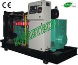 Natural Gas Generator 80kw (RTS, RTT, RTI, RTC)