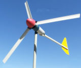 50W/100W Hyacinth Wind Generator Portable Turbine of High Quality