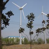 Low Rpm Pernanent Magnet Wind Turbine 50kw Generator