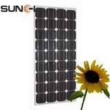 80W Monocrystalline Solar Module SNM-M80(36)