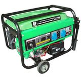 Biogas Generator 1kw (DF1500BG)