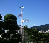 300W Wind Turbine Dolphin for Lighting