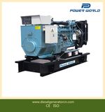 Diesel Generator (Cummins Series)