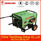 6kw China Cheap Electric Generator 6gf