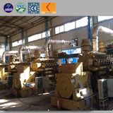 Coal Power Plant Applied Mine Coal Gas Generator (400kw - 1000kw)