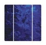 Polycrystalline Solar Cells