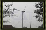 Zibo Cat Wind Generator Co., Ltd.