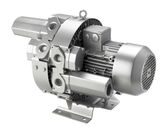 Vacuum Pump (4LG-210)