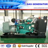 100kVA/80kw LPG/Natural Gas Generator with Cummins Power Plant